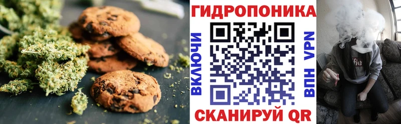 цены   omg как зайти  Canna-Cookies марихуана  Вышний Волочёк 