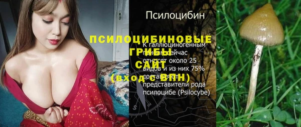 соль ск Алексин